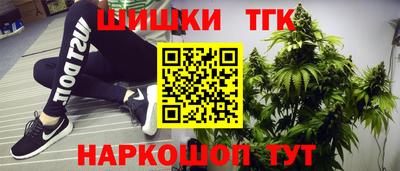 гидра Партизанск